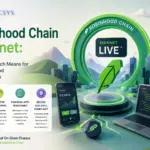 Robinhood Chain Mainnet: What Its Launch Means for Developers and Financial Apps